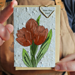 Seeded Memories Mini Greeting Cards