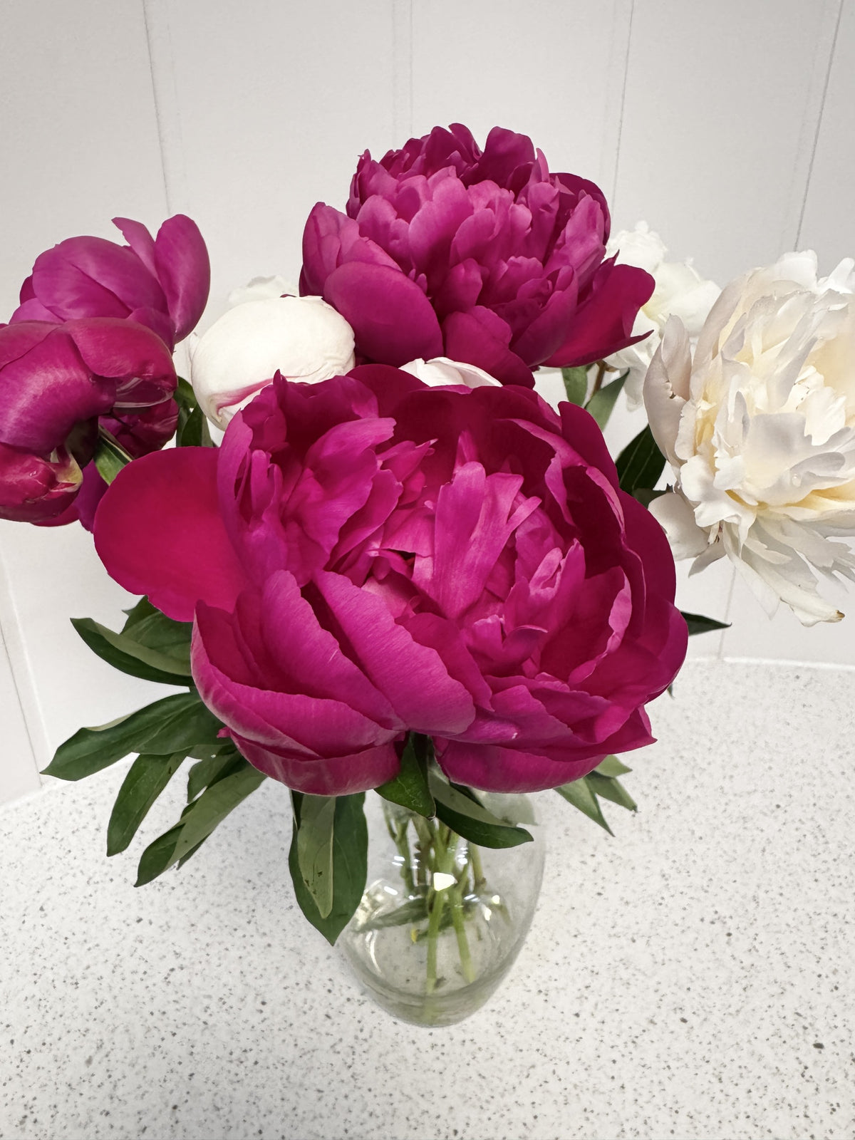 Peony Bouquet 5 Stem