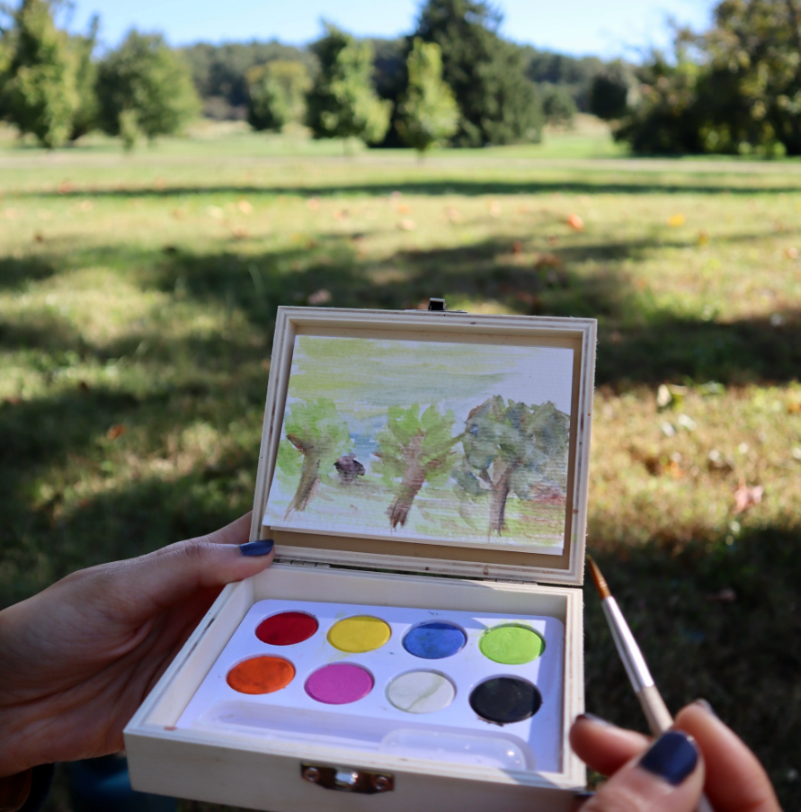 Landscape Paint Kit