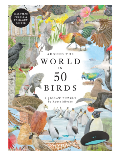 Around the World in 50 Birds