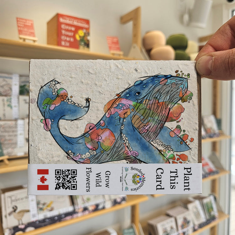 Seeded Memories Greeting Cards