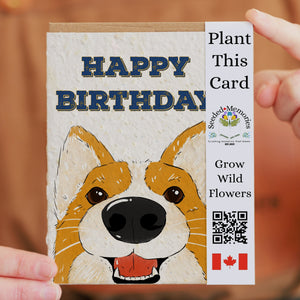 Seeded Memories Greeting Cards