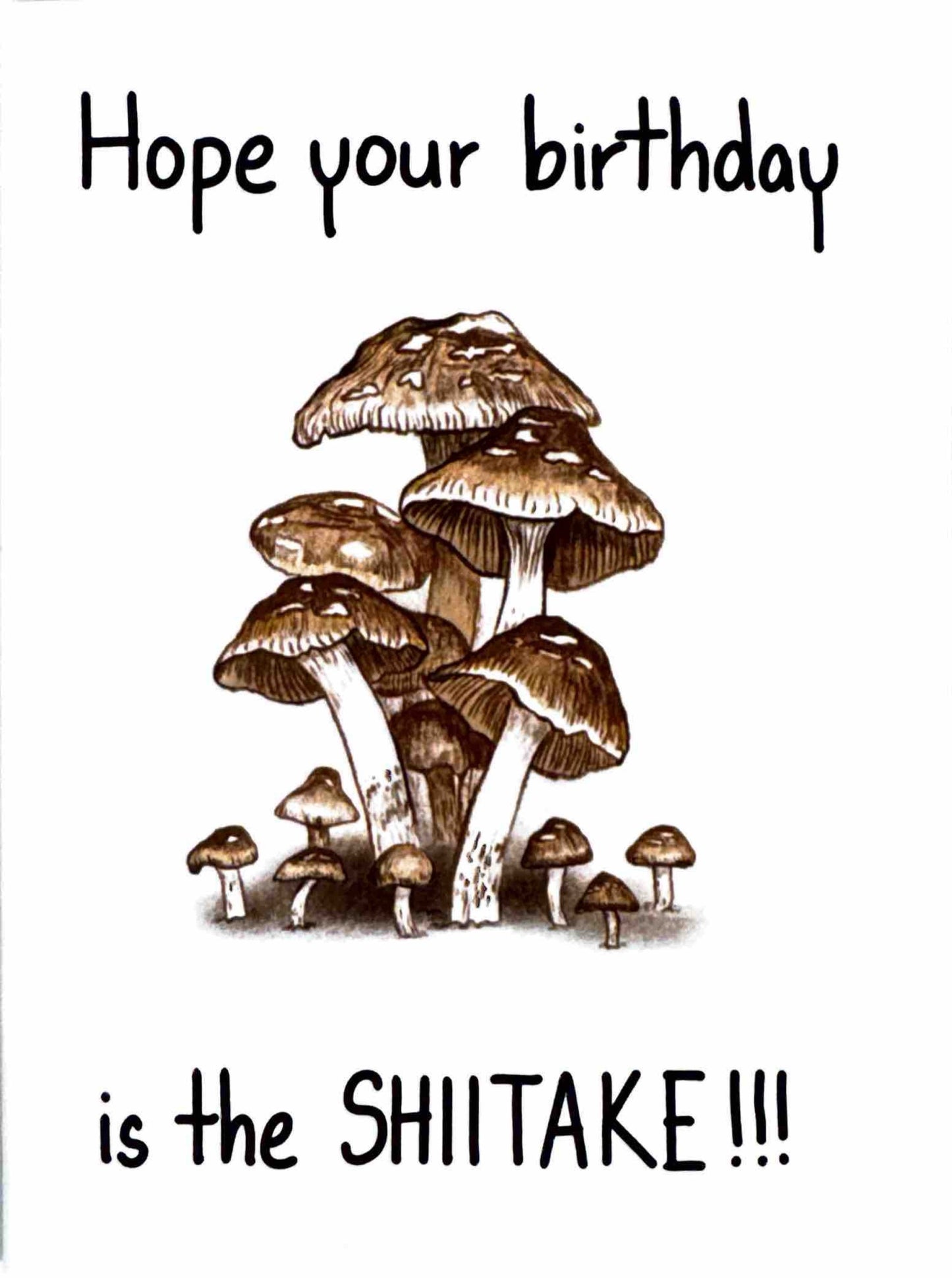 Pinpoint Studio Greeting Cards