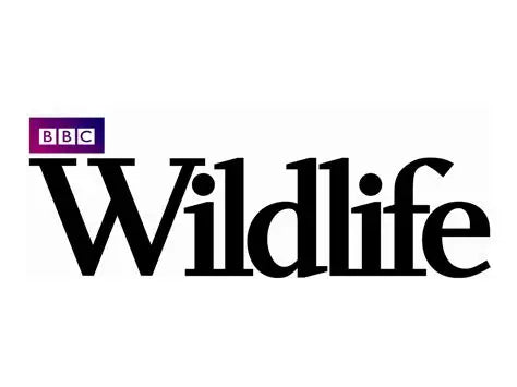BBC Wildlife (UK)