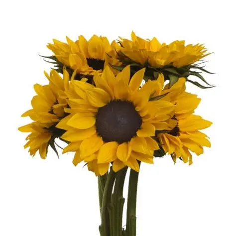 Sunflower Bouquets