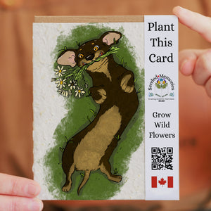 Seeded Memories Greeting Cards