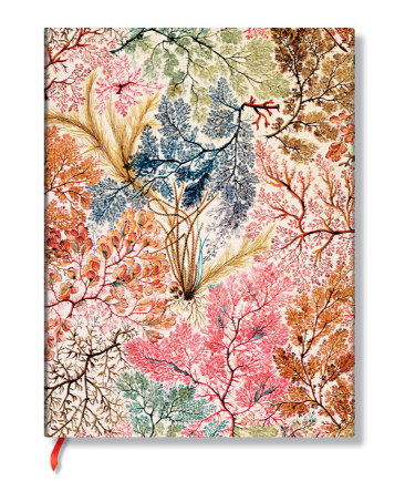 Paperblanks Lined Journals