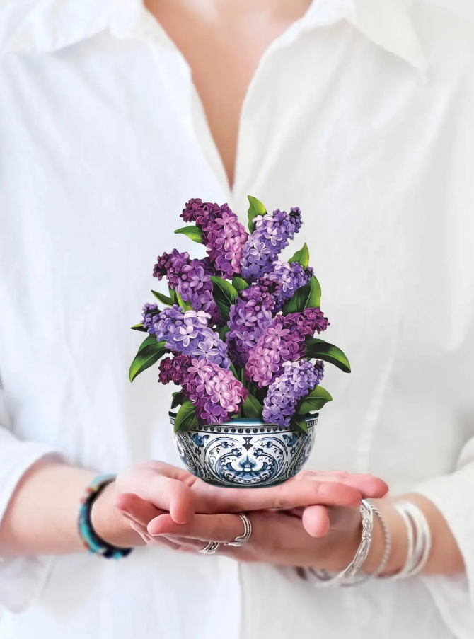 Person holding a small decorative pot with purple flowers against a white background