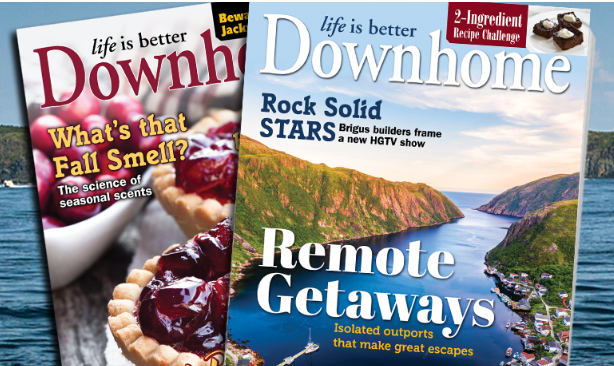 Two Downhome magazine covers with pie and scenic lake view.
