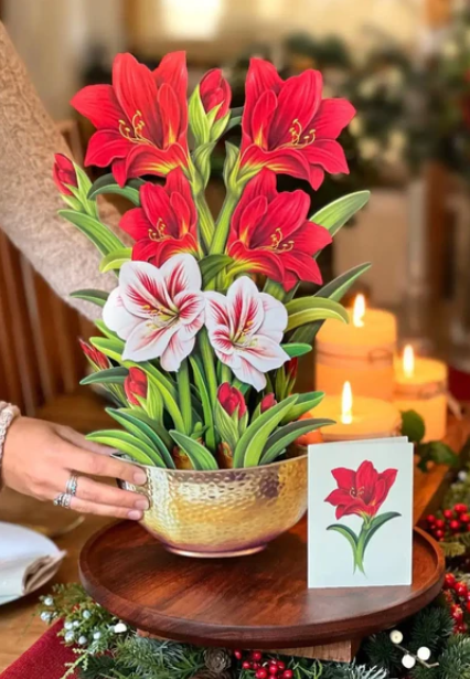 Fresh Cut Paper Holiday Pop-Up Cards