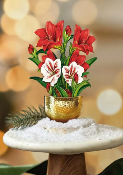 Fresh Cut Paper Holiday Pop-Up Cards