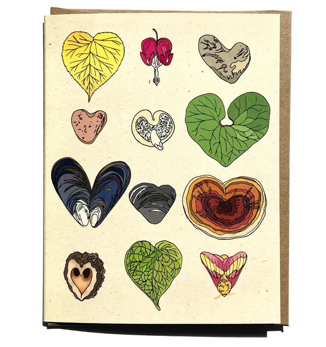 Wild Life Illustrations Art Cards