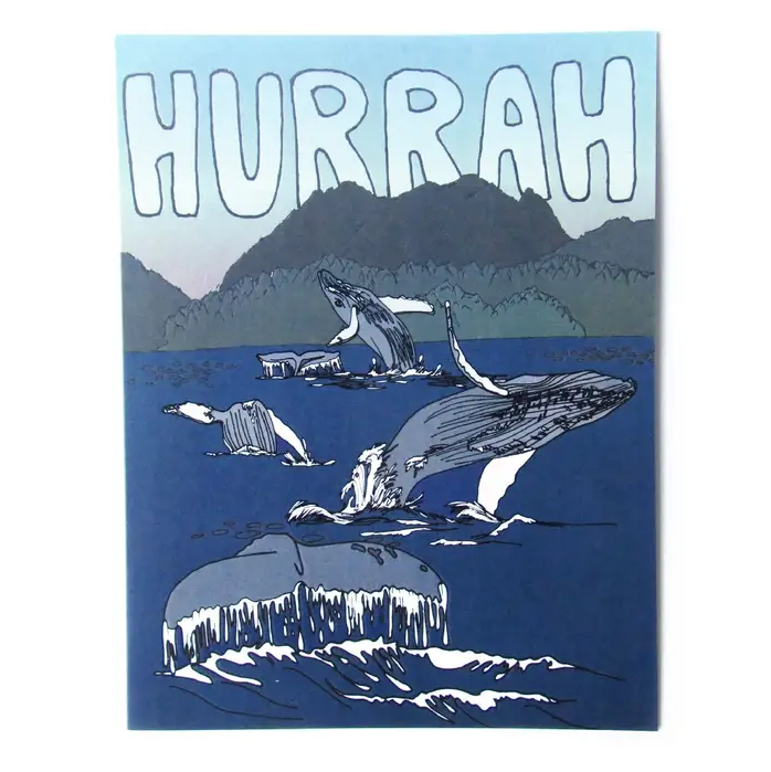 Wild Life Illustrations Art Cards
