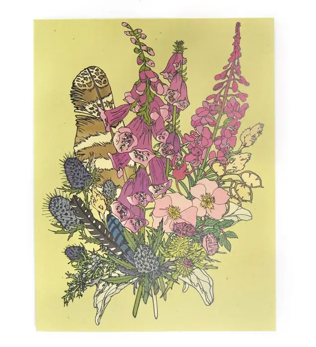 Wild Life Illustrations Art Cards