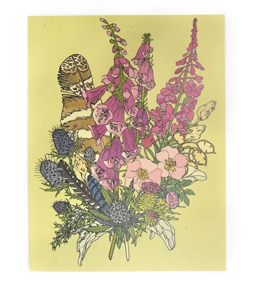 Wild Life Illustrations Art Cards