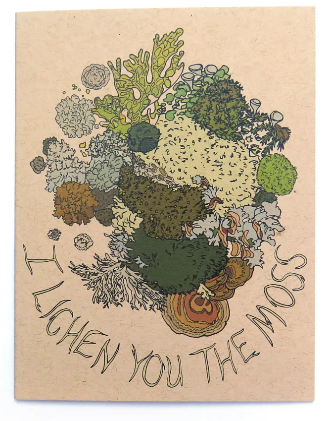 Wild Life Illustrations Art Cards