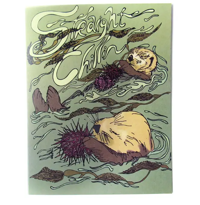 Wild Life Illustrations Art Cards