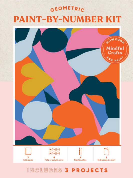 Geometric paint-by-number kit packaging with colorful abstract design on a pink background