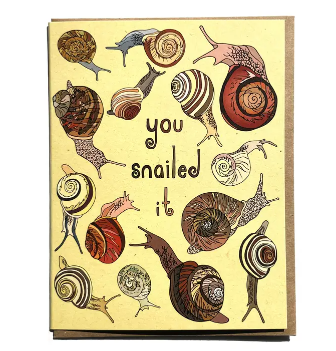 Wild Life Illustrations Art Cards