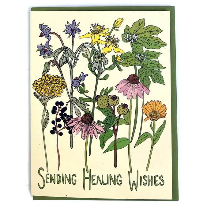 Wild Life Illustrations Art Cards